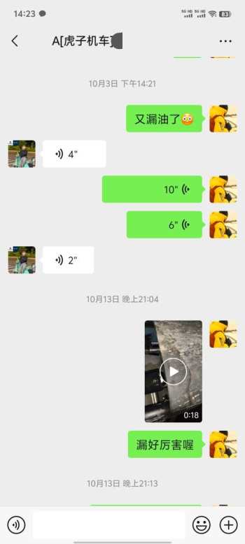 新车发动机漏油，刹车异响，前轮异响