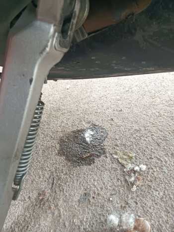 921走哪里都标记地盘