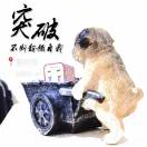 a方丈