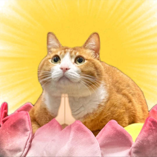阿萨姆战士